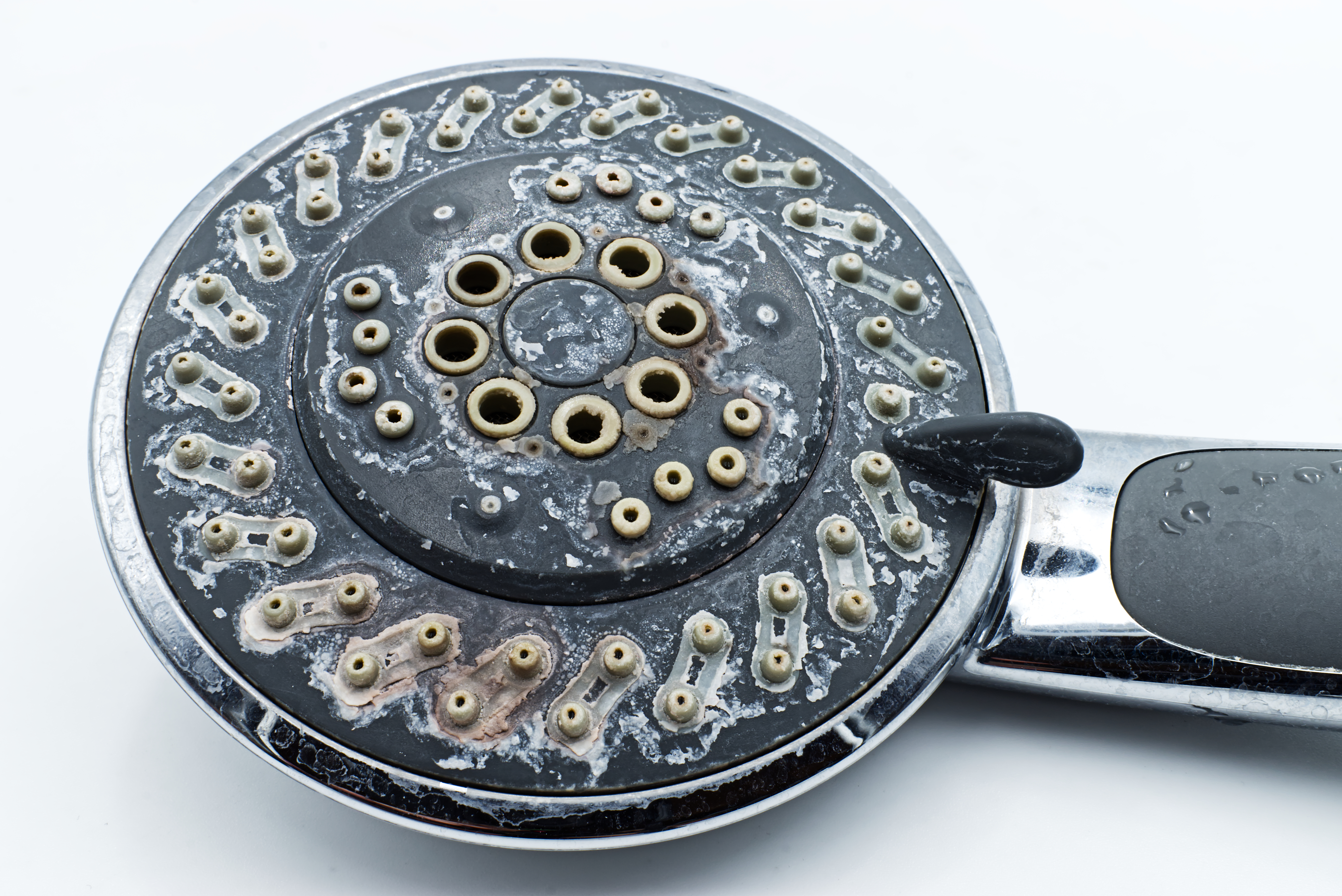 Silver Shower Head With Limescales Isolated On White Background