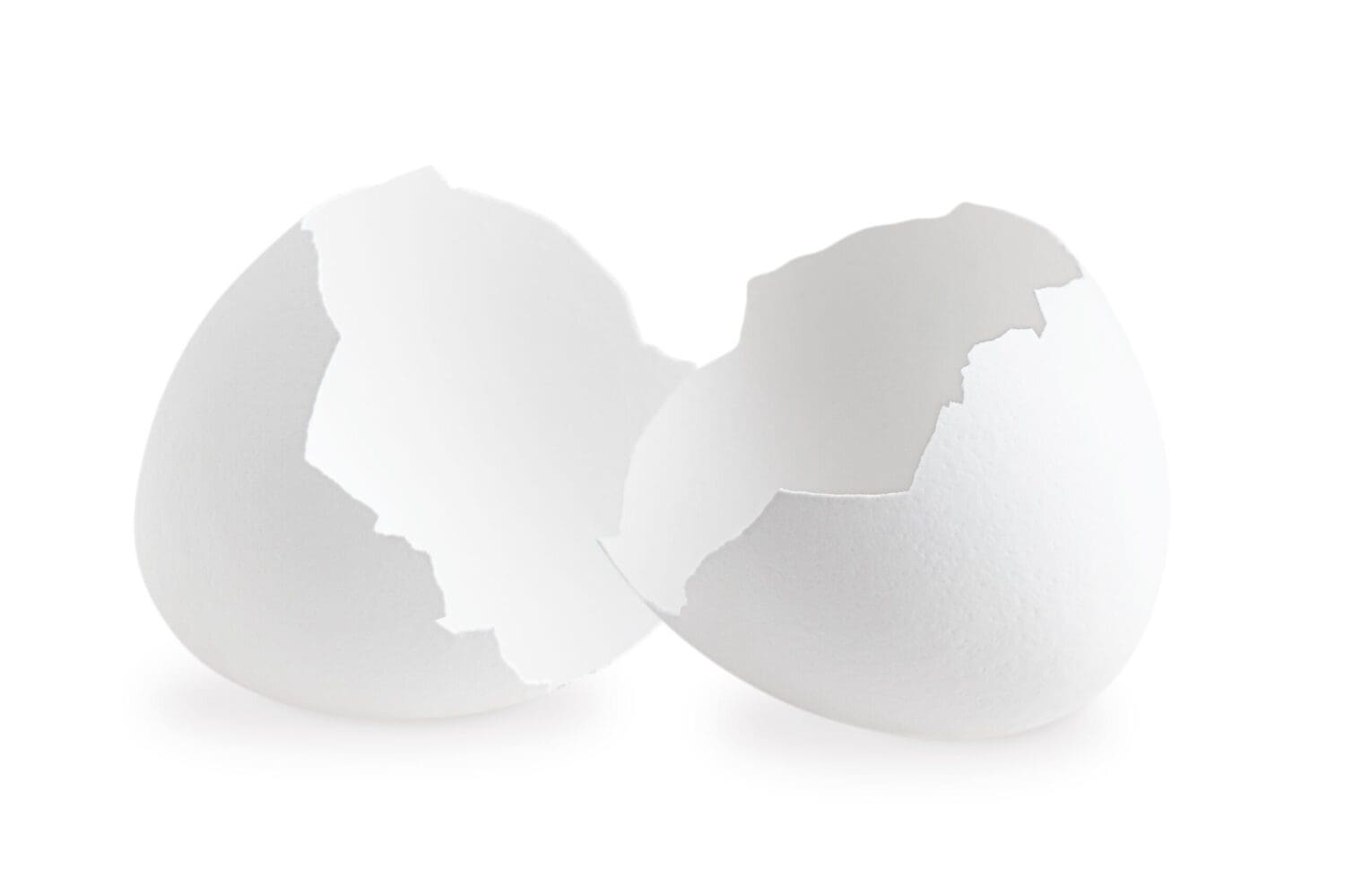 Two Halves of Broken Empty Natural Eggshell of Chicken